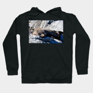 Phoque faisant la sieste sur un rocher Hoodie